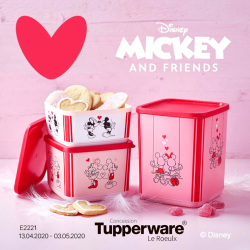 Boite cubix Mickey Minnie...