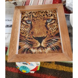 Broderie visage de Tigre